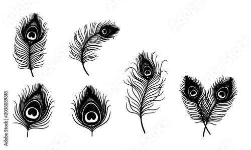Foto Elegant Peacock Feather Vector Set, Black and White Ornithological Illustrations