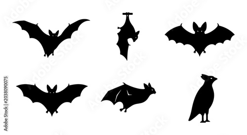 Vászonkép Vector Bat Silhouettes Collection, Halloween Icons, Flying Creatures, Spooky Nig