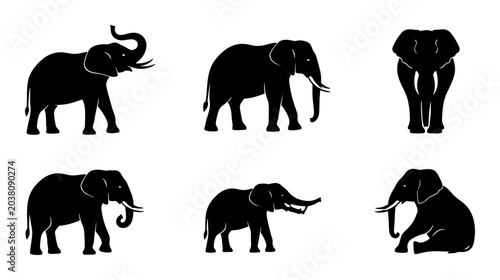 Konstfotografi Set of Six Black Silhouette Elephants, African and Asian Wildlife Icons, Simple