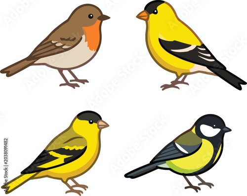 Canvas Print Vector illustration collection of common backyard birds including robin goldfinc