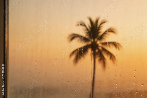 Palm tree silhouette on wet glass at sunset