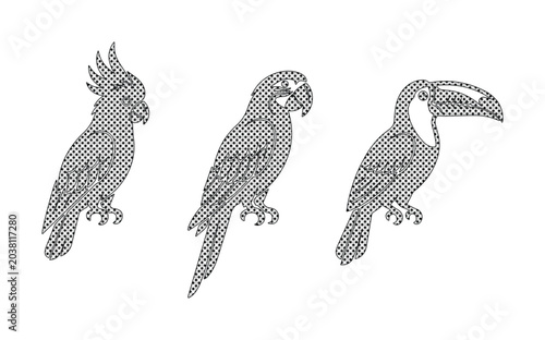 Bild auf Leinwand Monochromatic Tropical Birds Vector Set: Stylized Cockatoo, Parrot, Toucan Illus