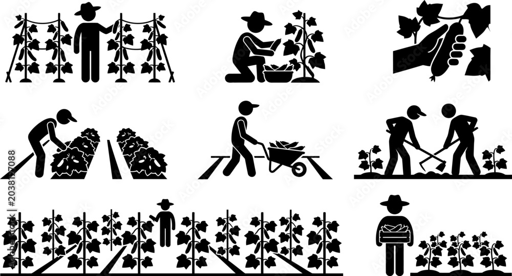 Obraz premium Series of simple icon designs showcasing farmers performing various agricultural jobs like planting, cultivating, and harvesting cucumbers.
