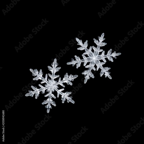 Two intricate snowflakes gracefully displayed on a black background.