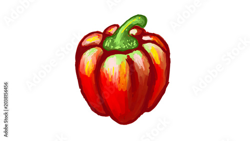 Artistic Red Bell Pepper Illustration PNG Transparent