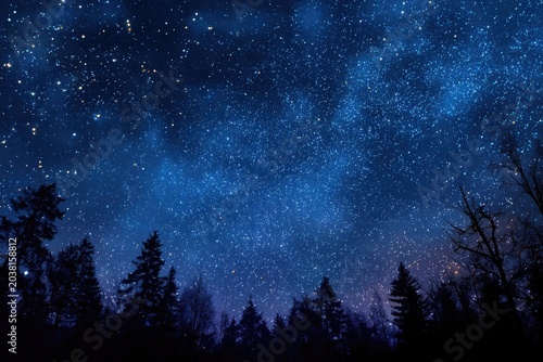 Dark forest silhouetted under a starry, cosmic night