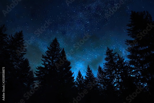 Night forest silhouetted under a starry, cosmic sky