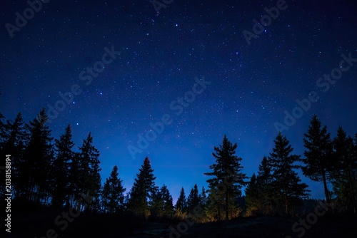 Night sky over a silhouette of forest trees