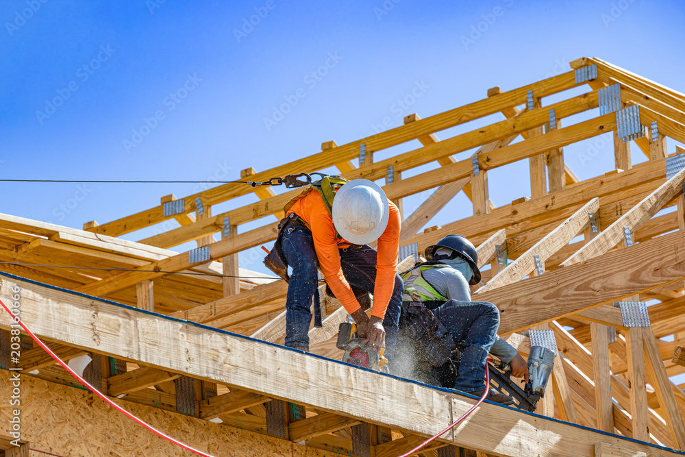 Naklejka premium A wide horizontal view showing two construction workers wearing safety harnesses and hard hats while installing and securing wooden roof trusses on a new building framing structure under a clear blue 