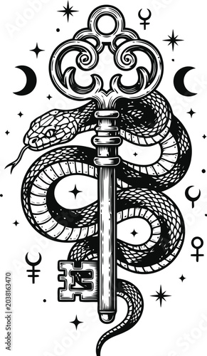 Fotografia Ornate skeleton key entwined with a serpent during a celestial night