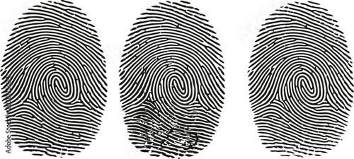 Bild auf Leinwand Three distinct fingerprint patterns arranged in a row against a clean white back