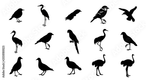 Canvas Print Collection of black bird silhouettes featuring various species including herons