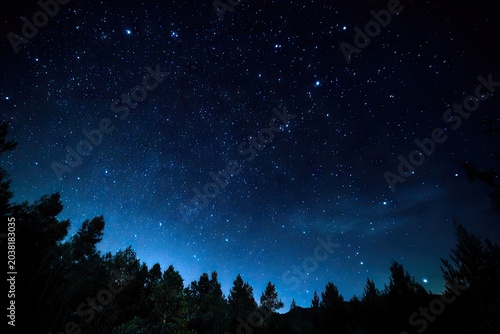 Forest silhouette framing a dark, starry night sky