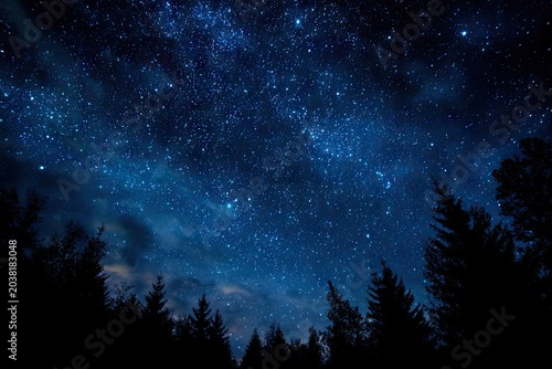 Dark night sky filled with countless stars, above trees