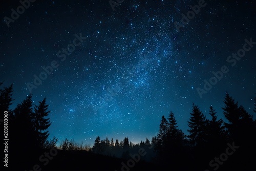 Night sky over silhouetted trees with countless stars
