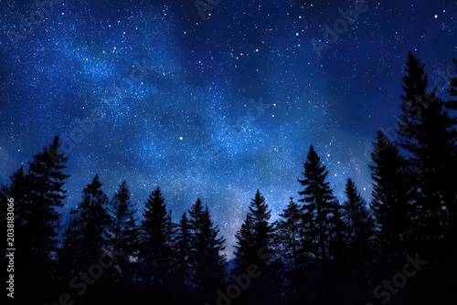 Night sky full of stars above silhouette trees