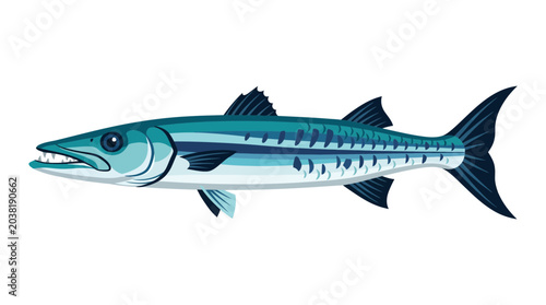 Bild auf Leinwand Barracuda Fish Illustration