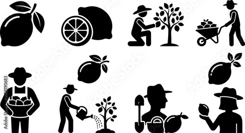 A collection of black silhouette illustrations depicting lemons in various forms and farmers engaged in lemon tree cultivation and care.