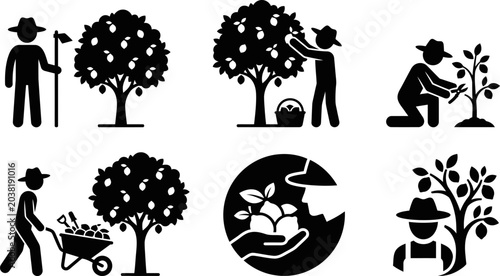 Farmer picks fruit from tree watering seedling farmer plants sapling farmer harvests crops farmer gardening plants tree cycle earth care.