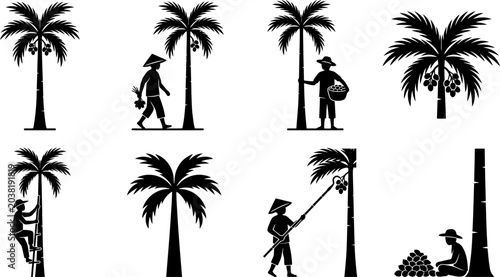 Palm tree plantation agricultural activities icons collection featuring farmers harvesting coconuts and climbing trees illustration for tropical harvest concept set.