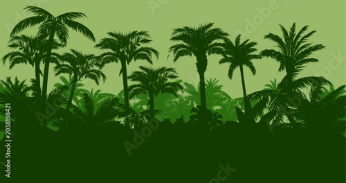 View of tropical palm tree silhouette background. Vector illustration