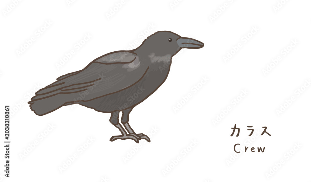 Obraz premium シンプルなカラスのイラスト 可愛いカラスのイラスト