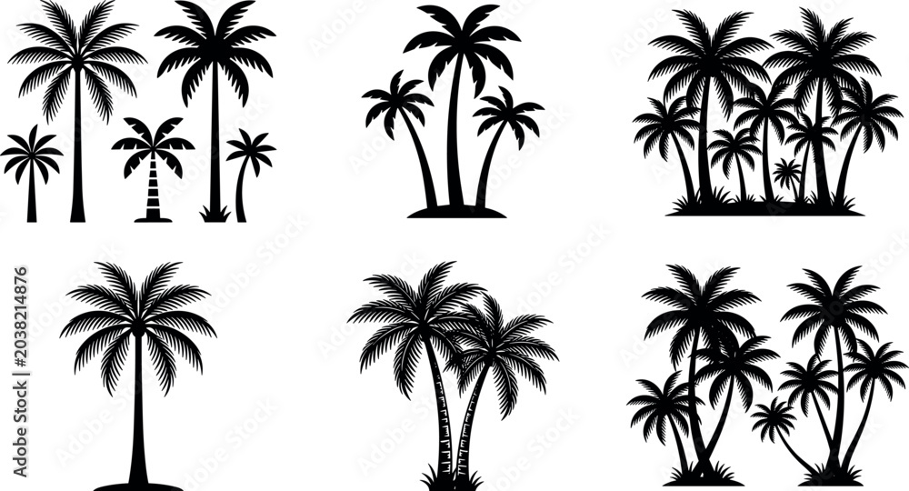 Fototapeta premium Tropical Palm Tree Silhouette Set with Coconut Trees, Island Forest Landscapes, and Exotic Summer Nature Vector Illustration Collection