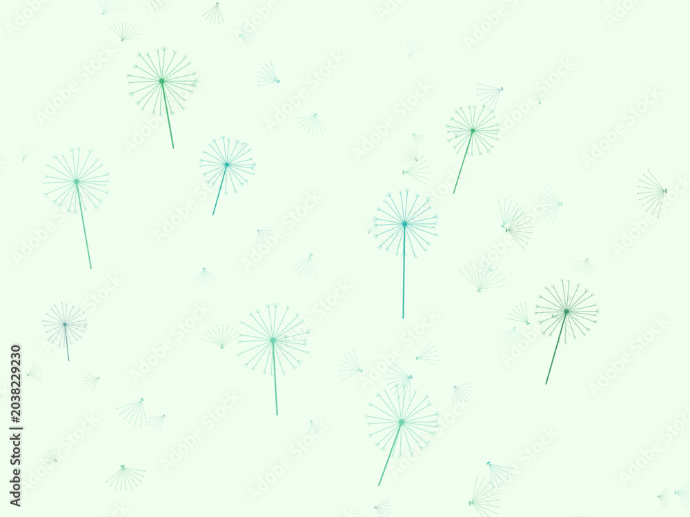 Obraz premium Blowball Seed Puff Botanical Nature Background
