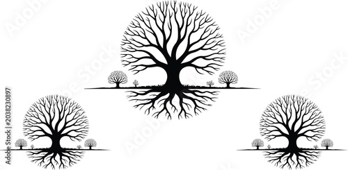 Φωτογραφία Abstract oak tree landscape line art graphic elements pack isolated on white background featuring branching canopy ground and root systems symbol