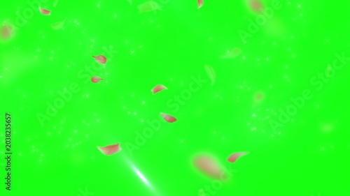 Exploding fireworks and falling petals on green screen background a dynamic celebration video clip with vibrant colors and festive atmosphere perfect for compositing