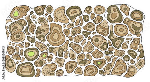A bunch of potatoes