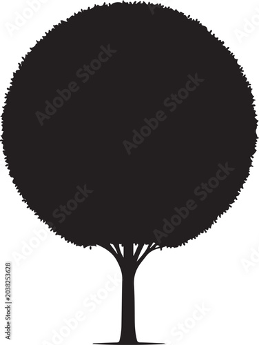 Tree silhouette, black tree icon, round tree shape, vector tree illustration