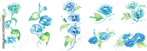 Schilderij op canvas 水彩画。水彩タッチの夏の朝顔イラスト。水彩の夏ベクターイラスト。朝顔の和柄。Watercolor painting