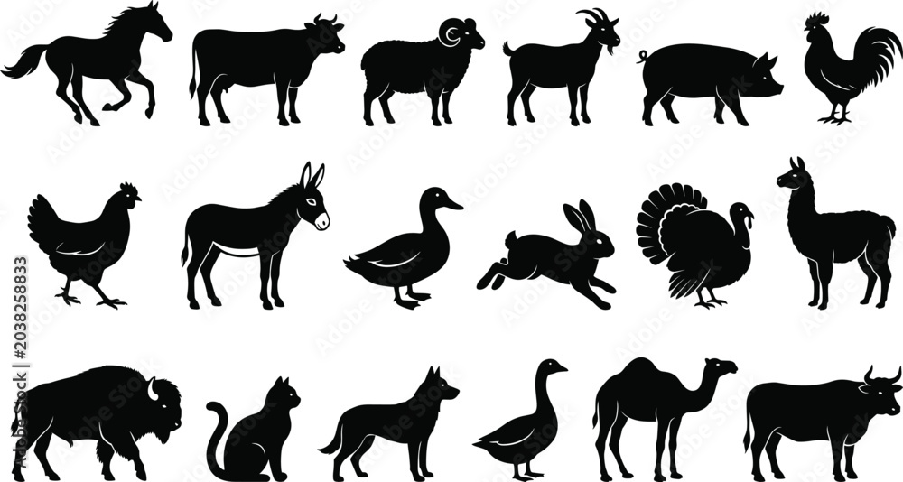 Fototapeta premium Farm Animal Silhouette Collection Featuring Horse Cow Goat Sheep Pig Poultry Camel and Domestic Livestock Vector Set