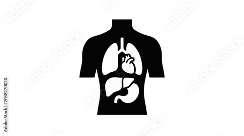 Torso diagram illustrates the human internal organ system to provide a clear educational reference for medical professionals and health awareness campaigns.