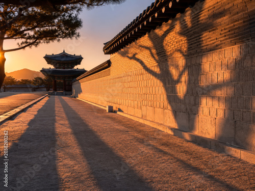Korean Palace Stone Wall with Elongated Tree Shadows at Dusk