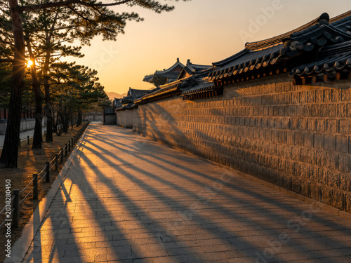Korean Palace Stone Wall Road with Pine Trees and Sunset Light