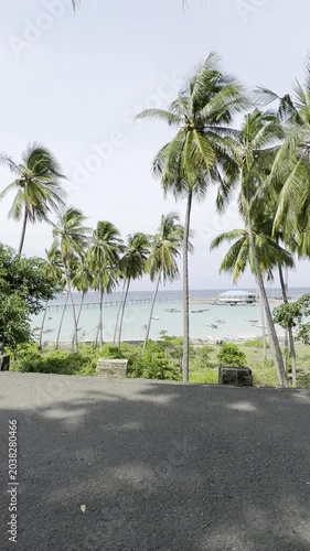 Tropical palm trees sway gently beside a quiet beach