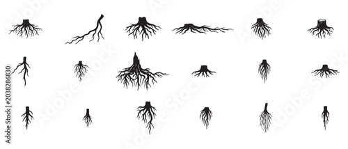 Photos Tree roots isolated collection