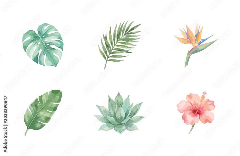 Obraz premium Watercolor tropical plant minimal icons set