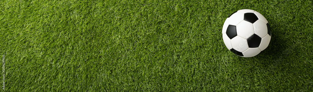 Fototapeta premium Soccer ball on Grass Field