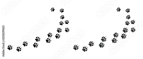 Photography Black paw print trail vector, animal footprint path, pet track design element, d