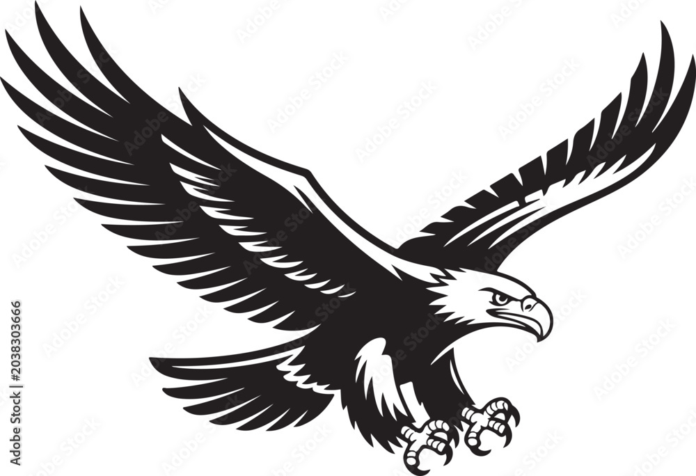 Fototapeta premium Bald eagle flying with sharp talons