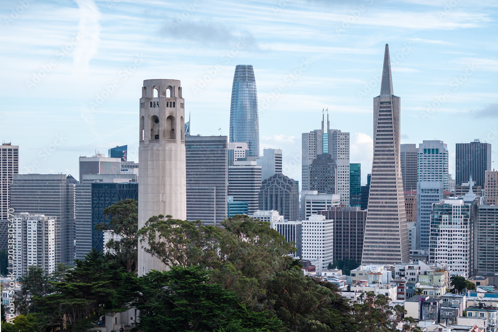 Obraz premium Aerial view of the skyline of Coitta, San Francisco, California.