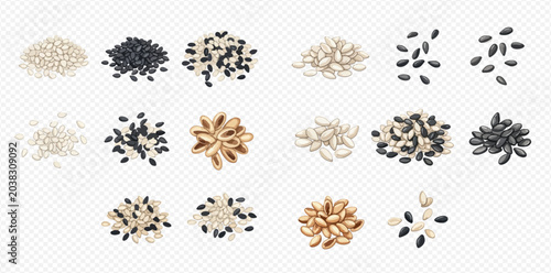 Schilderij op canvas Set of various sesame seeds, pumpkin seeds, and sunflower seeds in piles, isolated on a transparent background