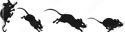 Fotografía a rat squeezing or sneaking through tight spaces, a vigilant mouse on high alert