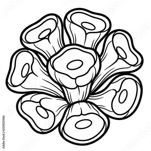Tube Sponge Colony Line Art Coloring Page Isolated on White Background