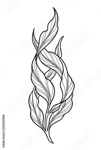 Seaweed Line Art Coloring Page Isolated on White Background
