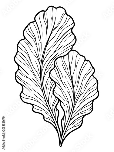Seaweed Line Art Coloring Page Isolated on White Background