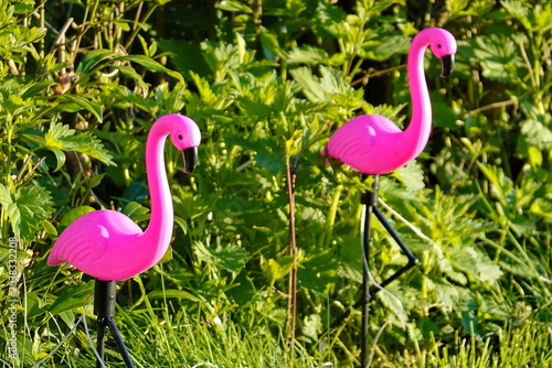 Cuadro en lienzo Pinke Flamingos als Gartendekoration
